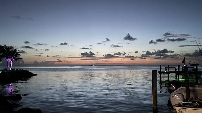 Jolly Roger Picture 6