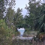 Curry Hammock State Park Campground