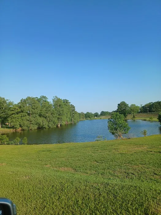 Riverview RV Resort Picture 7