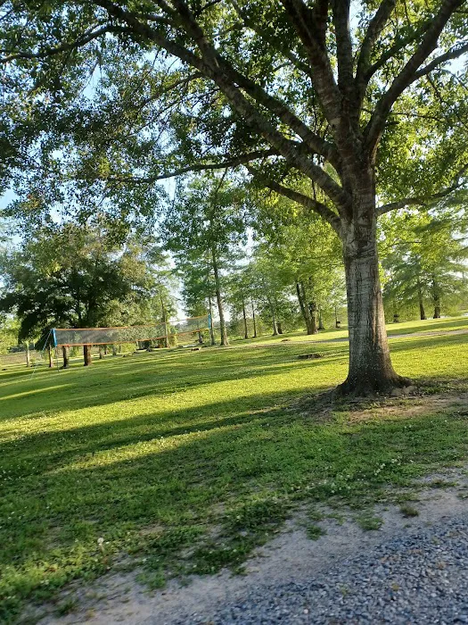 Riverview RV Resort Picture 8