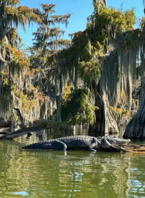 Kickin' it in The Butte Picture 7