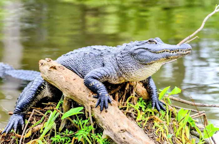 Kickin' it in The Butte Picture 8