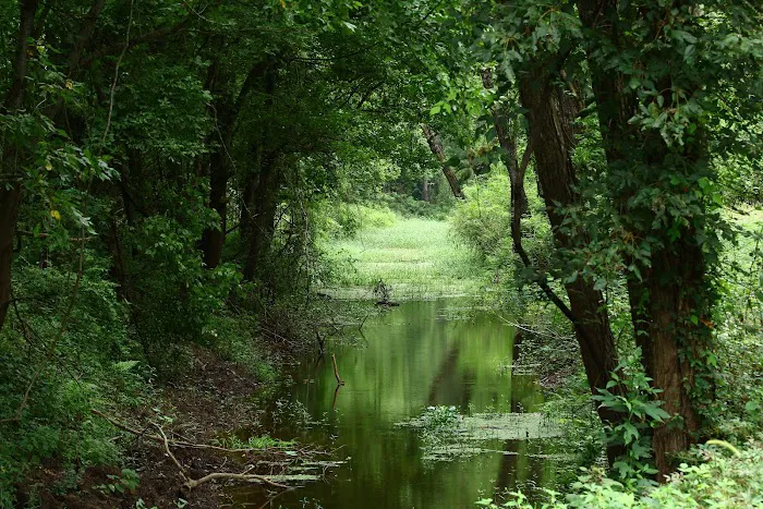 Red River Bay Campground Picture 3