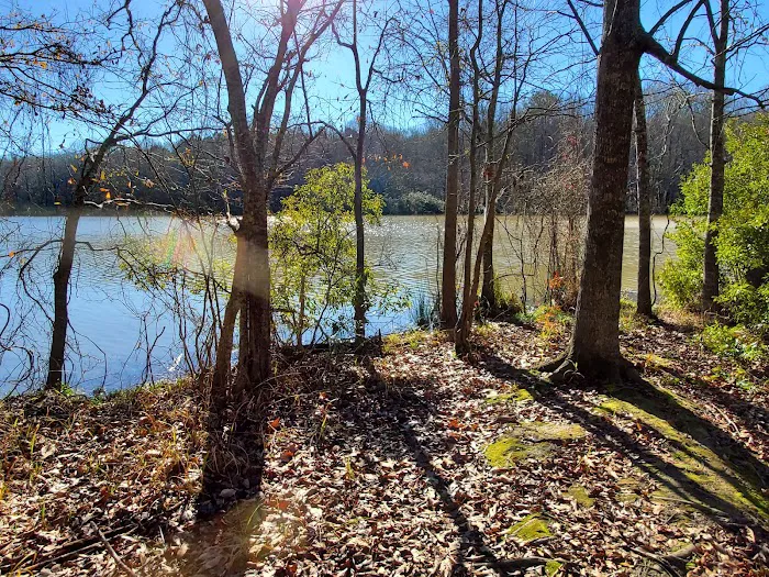 Natchez State Park Campground Picture 4