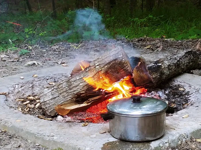Natchez State Park Campground Picture 5