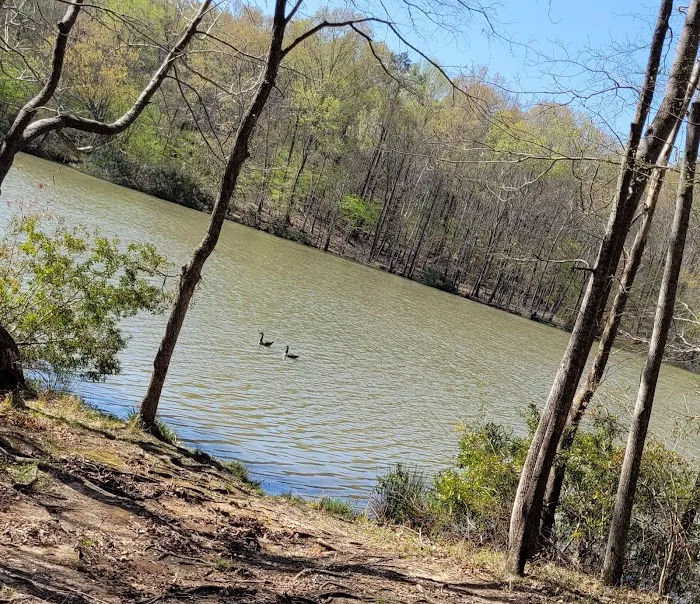 Natchez State Park Campground Picture 9