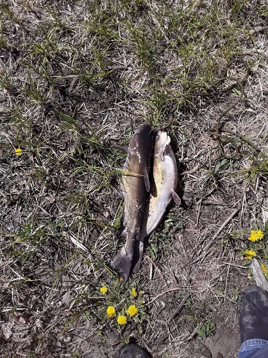 Pioneer Trails Recreation Area Picture 6