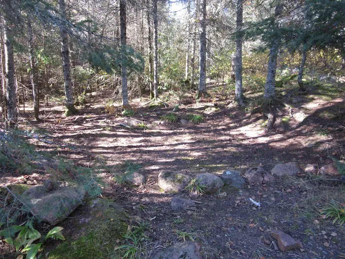 BWCA Campsite #913 Picture 2