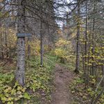 North Bally Creek Pond Camp