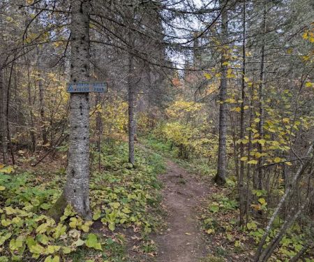 North Bally Creek Pond Camp