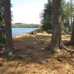 BWCA Campsite #941