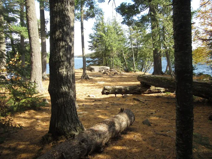 BWCA Campsite #941 Picture 8