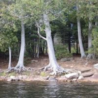 BWCA Campsite #939 ico