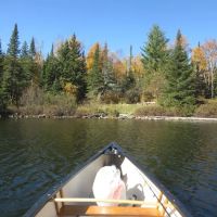 BWCA Campsite #949 ico