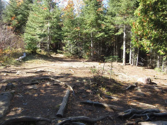 BWCA Campsite #948 Picture 3