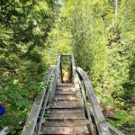 East Devil Track Camp