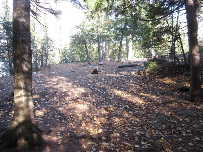 BWCA Campsite #967 Picture 9