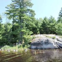 Feldt Channel S5 Campsite ico