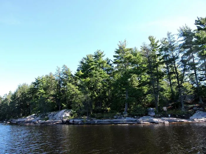 King Pin S10 Campsite Picture 7