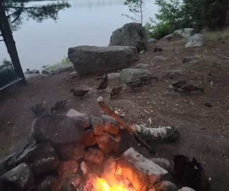 Big Lake Campsite #1