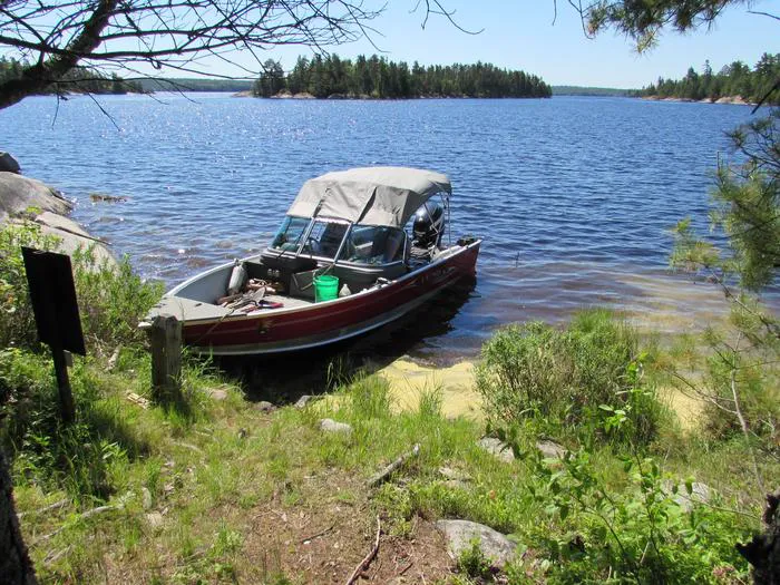 Swansons Bay S24 Campsite Picture 1