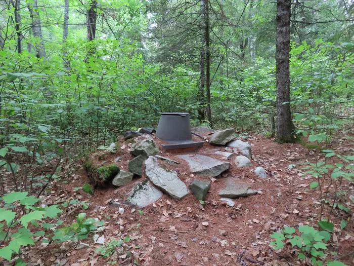 Swansons Bay S24 Campsite Picture 8