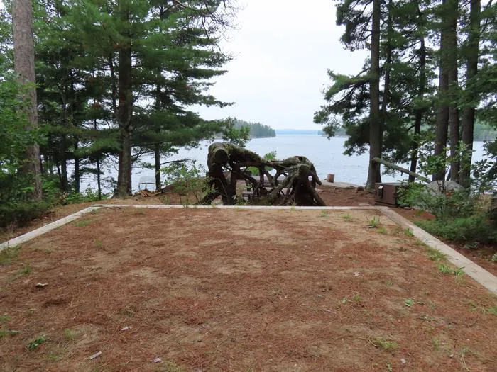 Swansons Bay S24 Campsite Picture 3