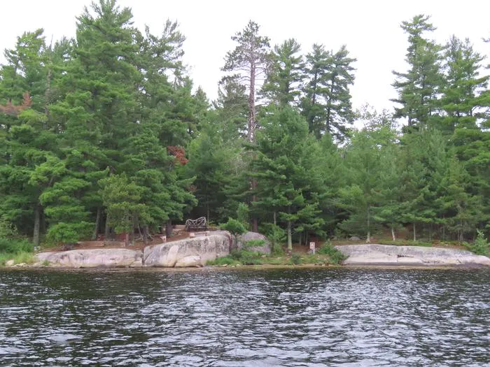 Swansons Bay S24 Campsite Picture 4