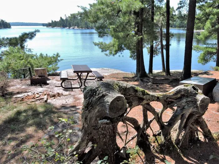 Swansons Bay S24 Campsite Picture 5