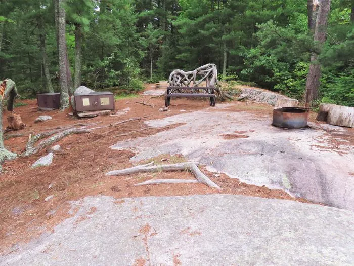 Swansons Bay S24 Campsite Picture 9