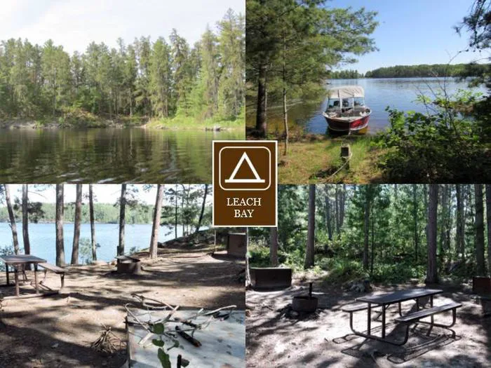 Leach Bay N3 Campsite Picture 4