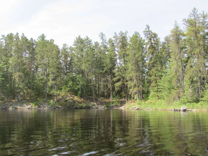 Leach Bay N3 Campsite Picture 1