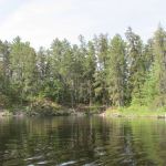 Leach Bay N3 Campsite