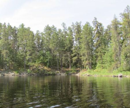 Leach Bay N3 Campsite