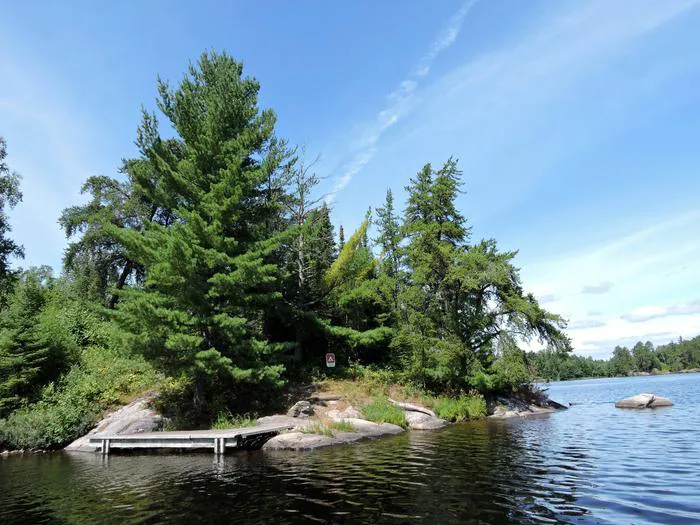 Aspen Bench N57 Campsite Picture 8