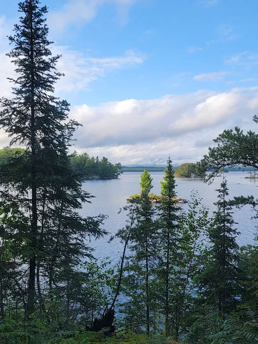 Aspen Bench N57 Campsite Picture 9