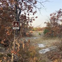 Site Blueberry Ridge H2 ico