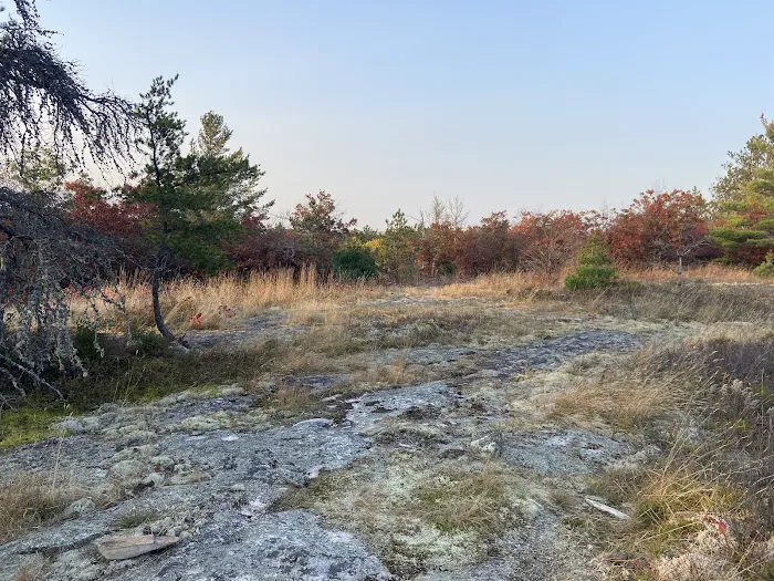 Site Blueberry Ridge H2 Picture 2