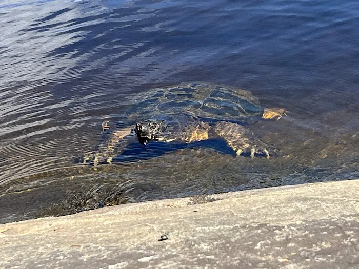 Locator Lake Picture 1