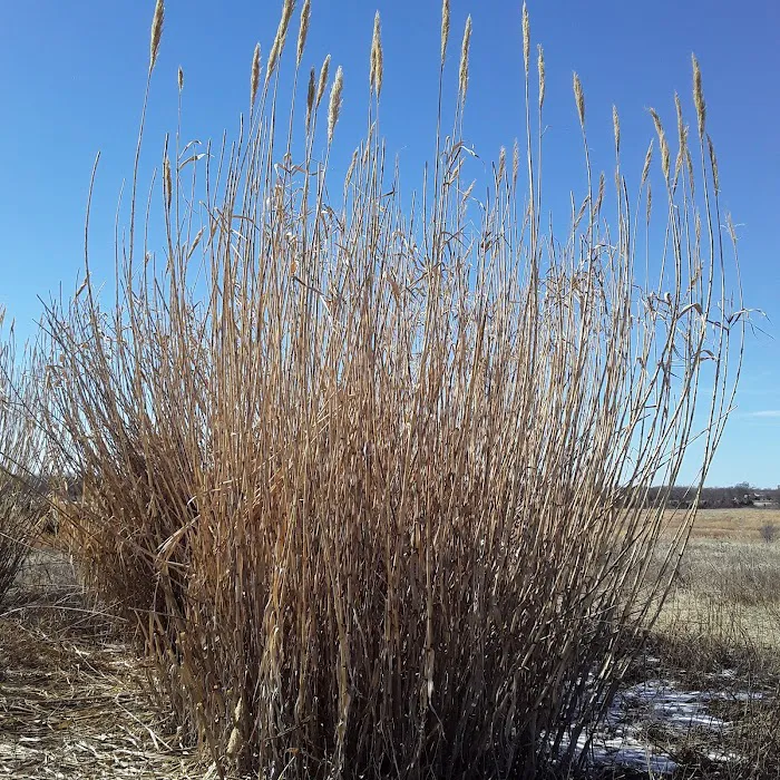 Jack Graves Scout Reservation Picture 7