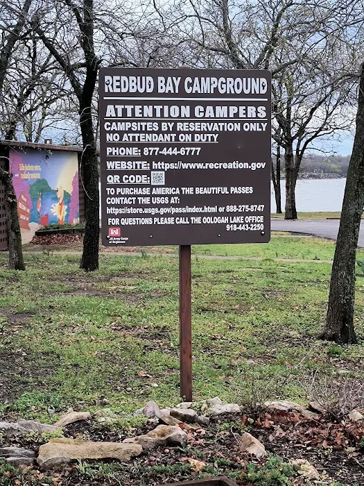 Redbud Bay Campground Picture 10