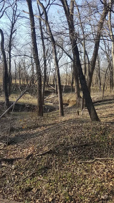 Blue Creek Campground Picture 8