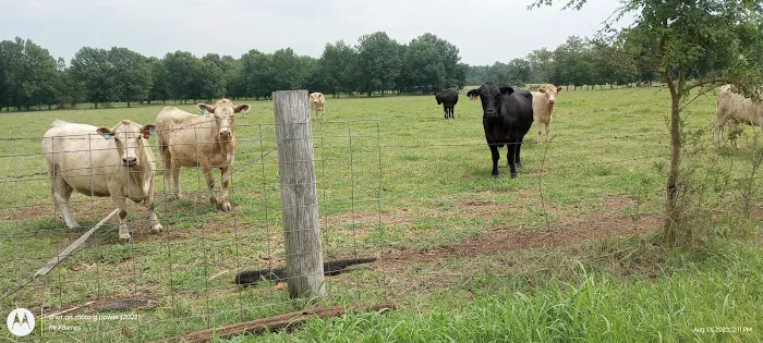 Country RV Camp Picture 2