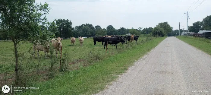 Country RV Camp Picture 1
