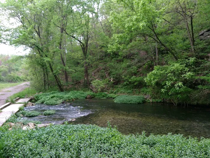 Baptist Hill Assembly Picture 14