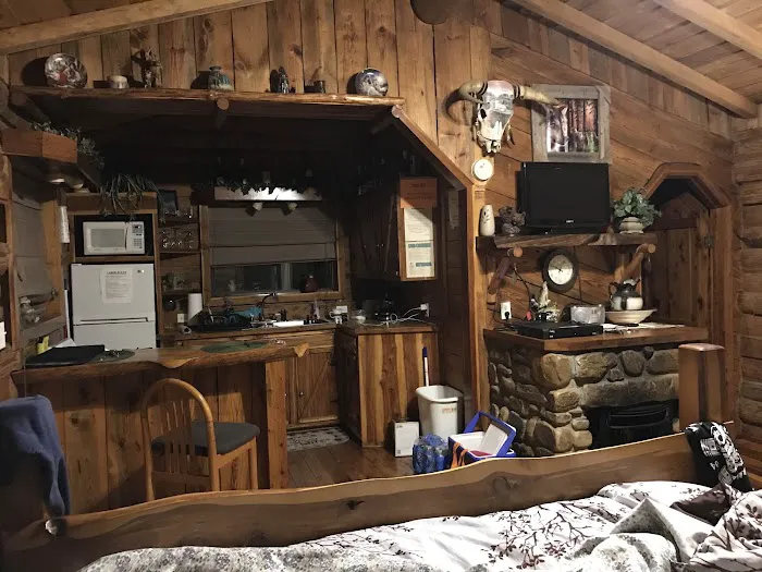 Awake in the Forest Cabin Picture 7
