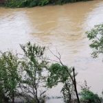 Awake in the Forest Cabin