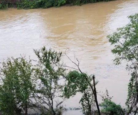 Awake in the Forest Cabin