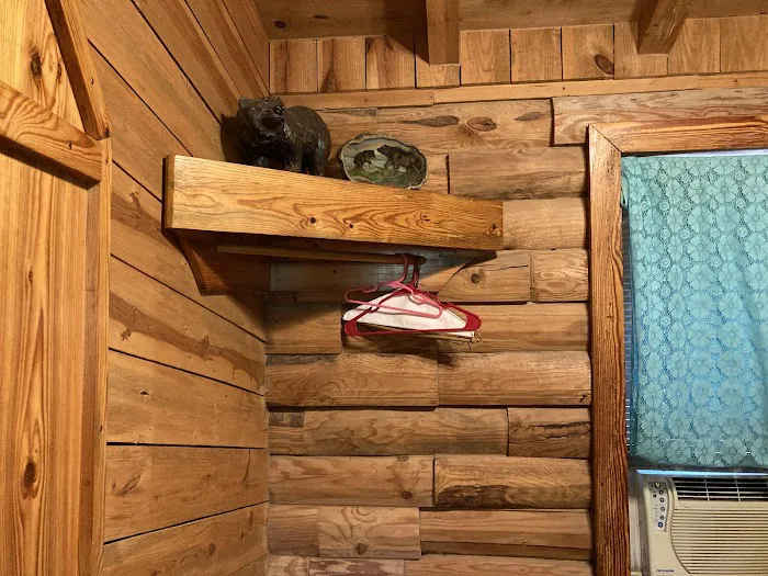 Awake in the Forest Cabin Picture 9