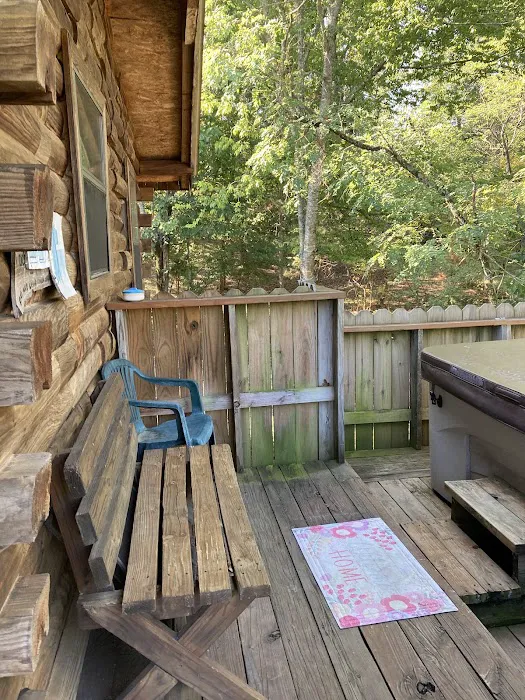 Awake in the Forest Cabin Picture 8